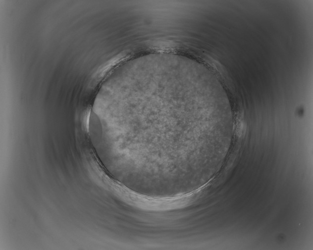X0000115250047200912111127