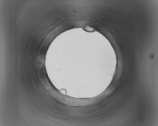 X0000115250048200912111127