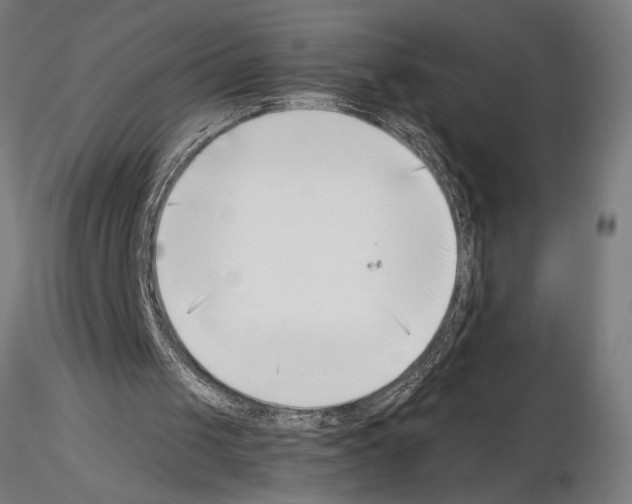 X0000115250049200912111126