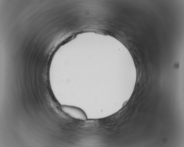 X0000115250050200912111126