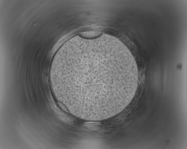 X0000115250051200912111126