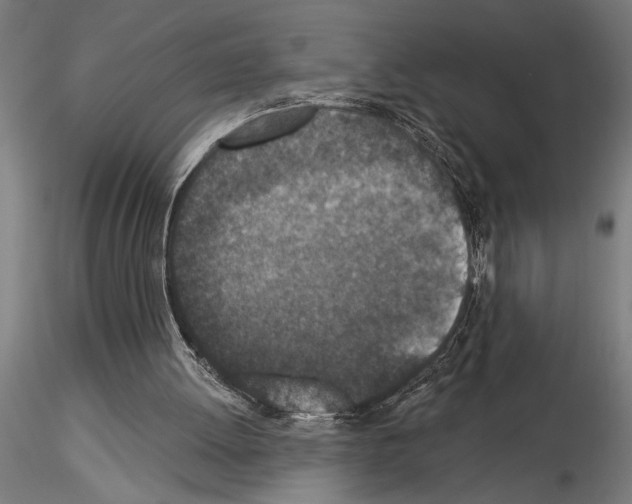 X0000115250052200912111126