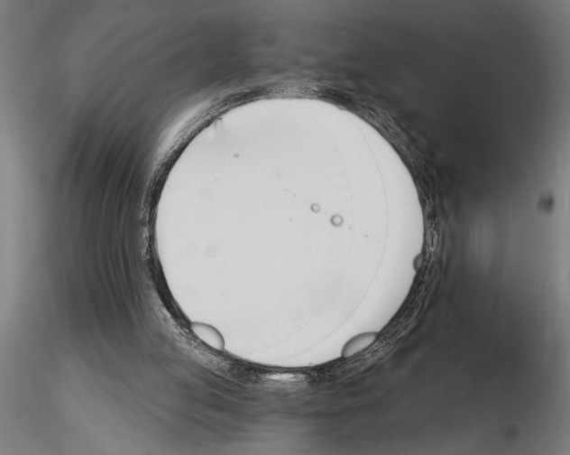 X0000115250053200912111126