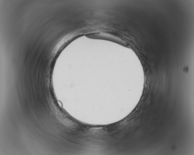 X0000115250054200912111126