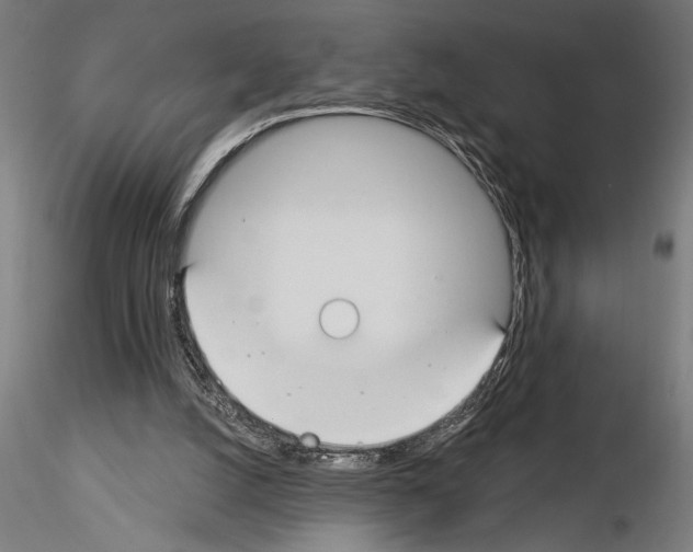 X0000115250056200912111126