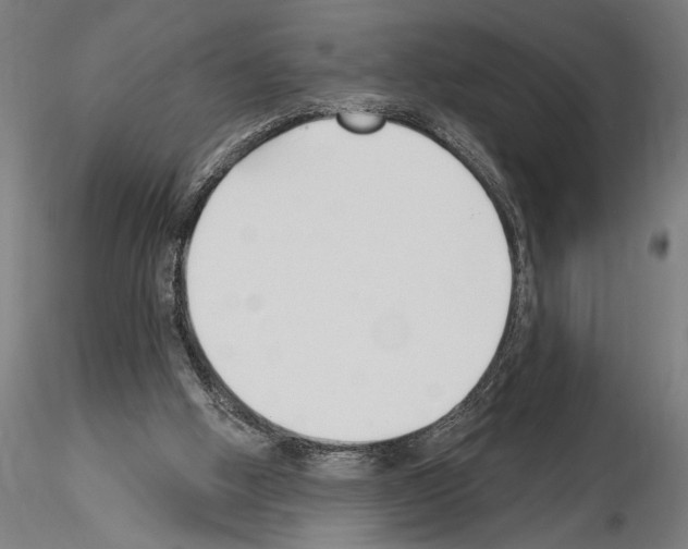 X0000115250058200912111126