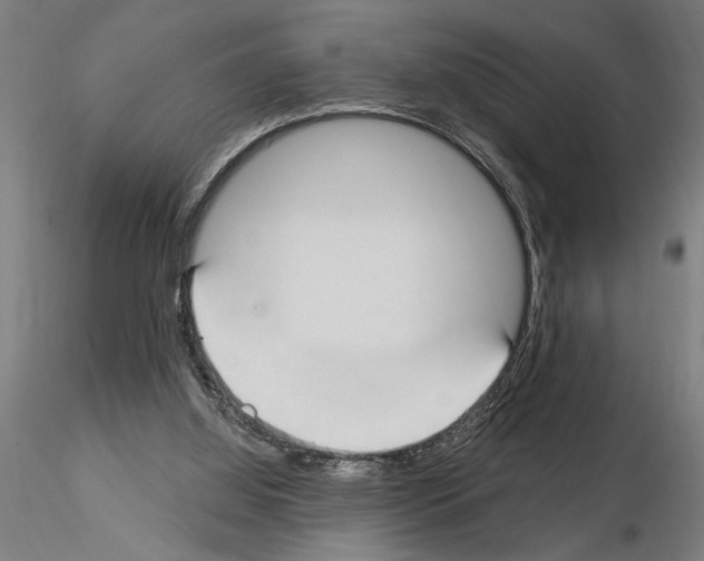 X0000115250060200912111126