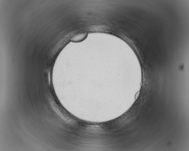 X0000115250061200912111126