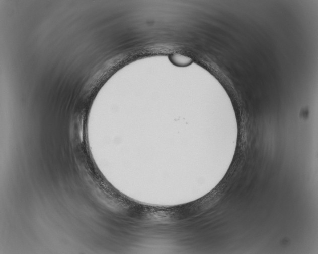 X0000115250062200912111126