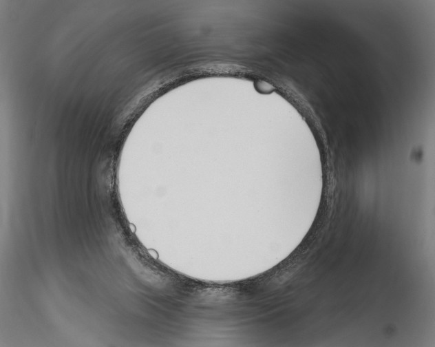 X0000115250063200912111126