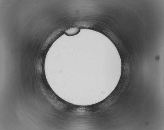 X0000115250064200912111126