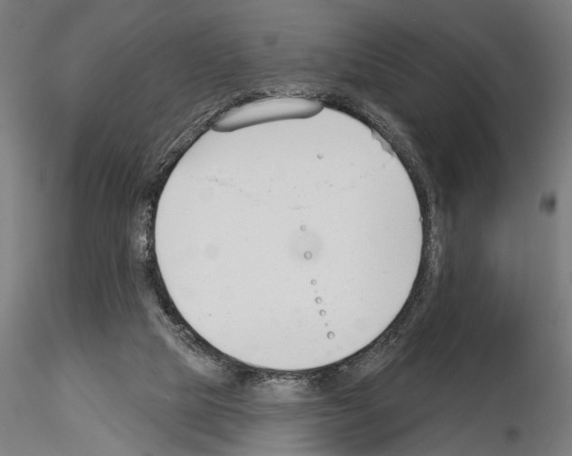 X0000115250065200912111126