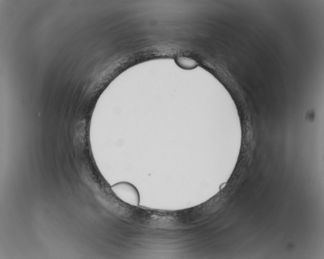 X0000115250066200912111126