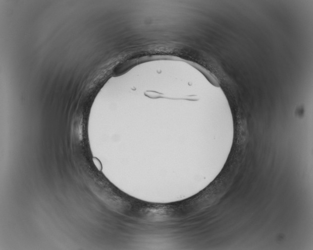 X0000115250068200912111126