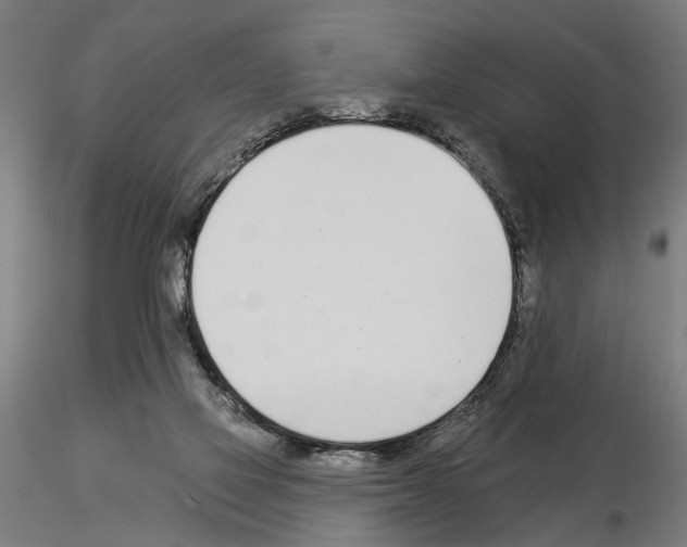 X0000115250069200912111126
