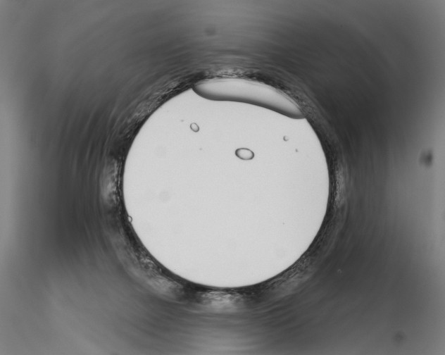 X0000115250073200912111126
