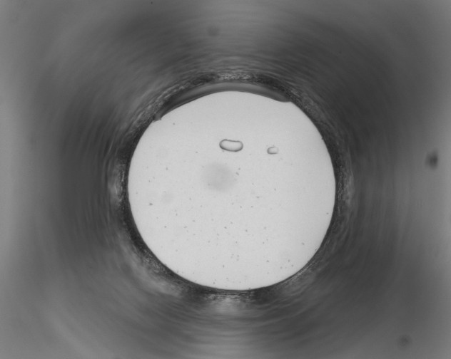X0000115250074200912111126