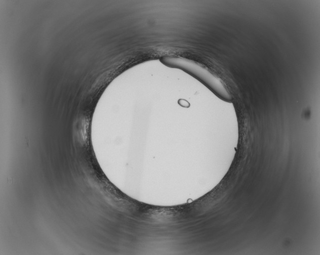 X0000115250075200912111126