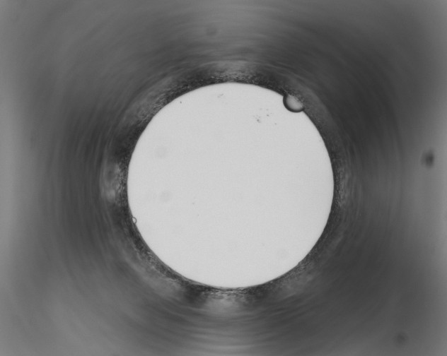 X0000115250077200912111126
