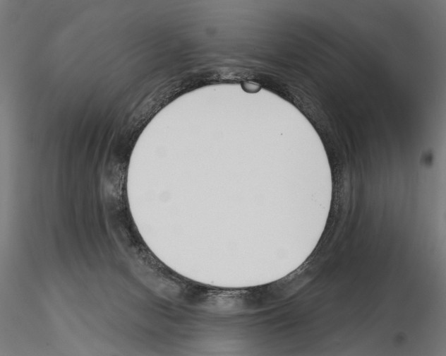 X0000115250078200912111126