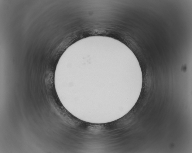 X0000115250079200912111127