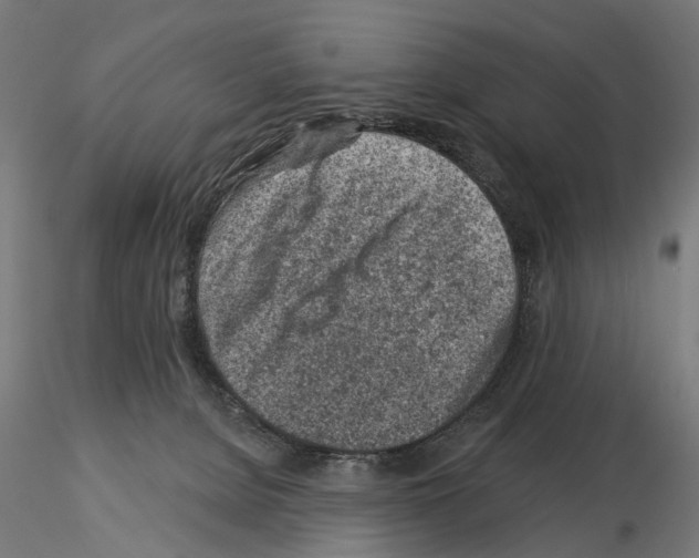 X0000115250080200912111127
