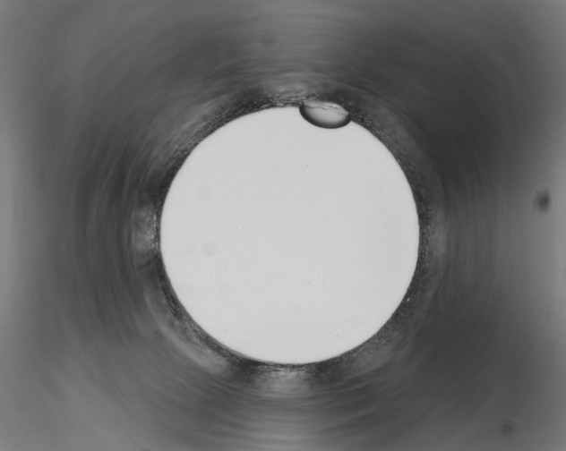 X0000115250081200912111127
