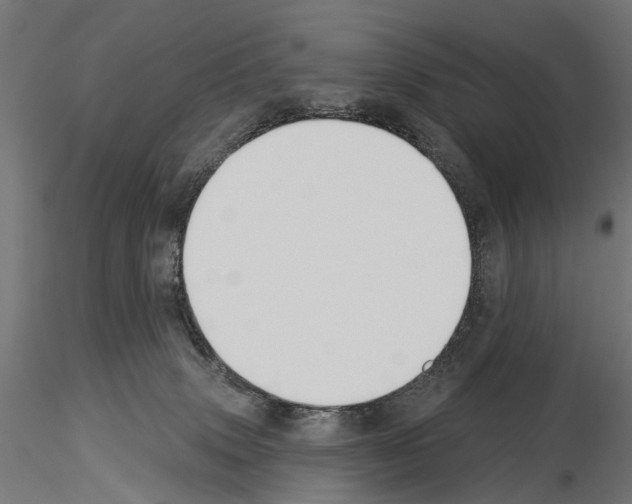 X0000115250083200912111127