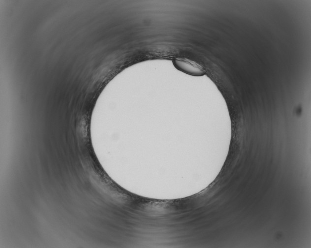 X0000115250086200912111127