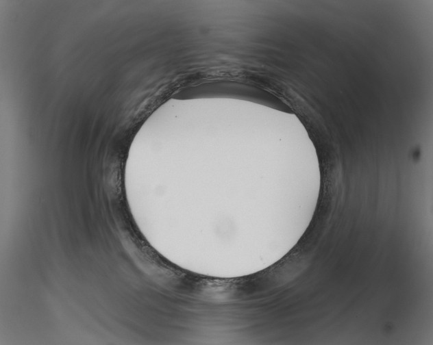 X0000115250088200912111127