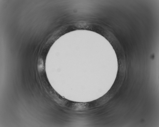 X0000115250089200912111127