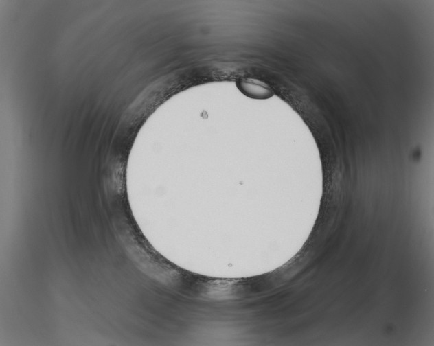 X0000115250090200912111127