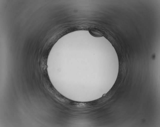 X0000115250091200912111127