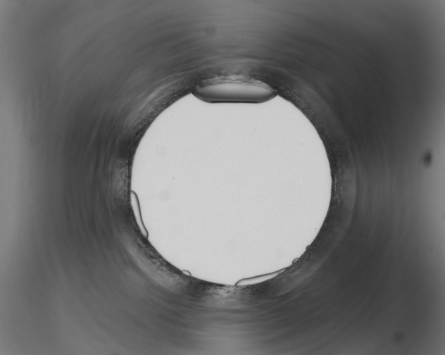 X0000115250092200912111127