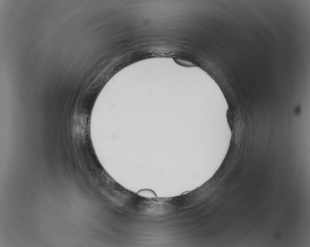 X0000115250093200912111127