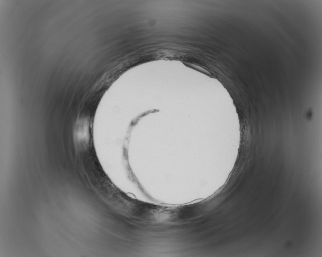X0000115250094200912111127