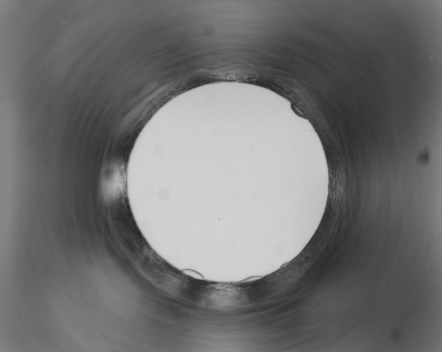 X0000115250095200912111127