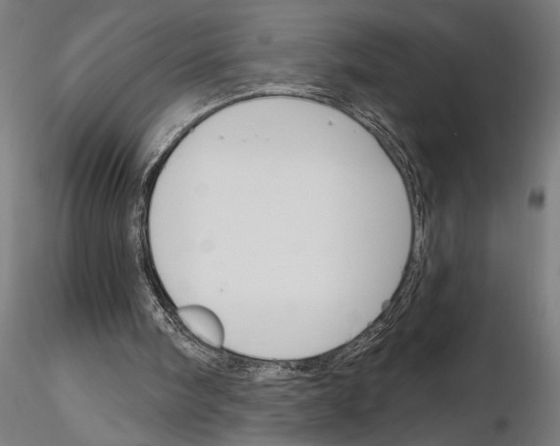 X0000115250098200912111126