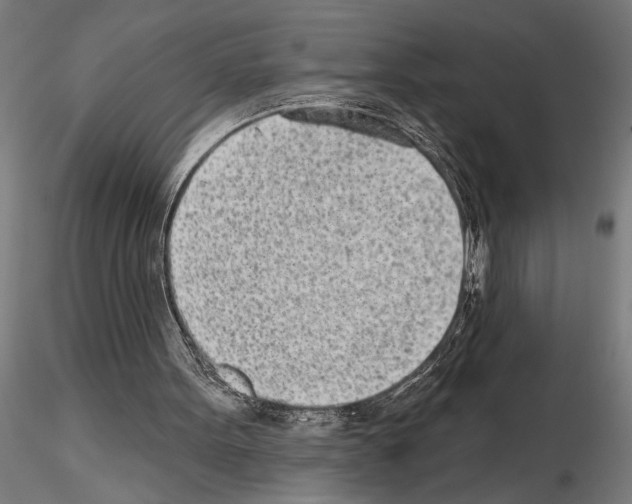 X0000115250099200912111126
