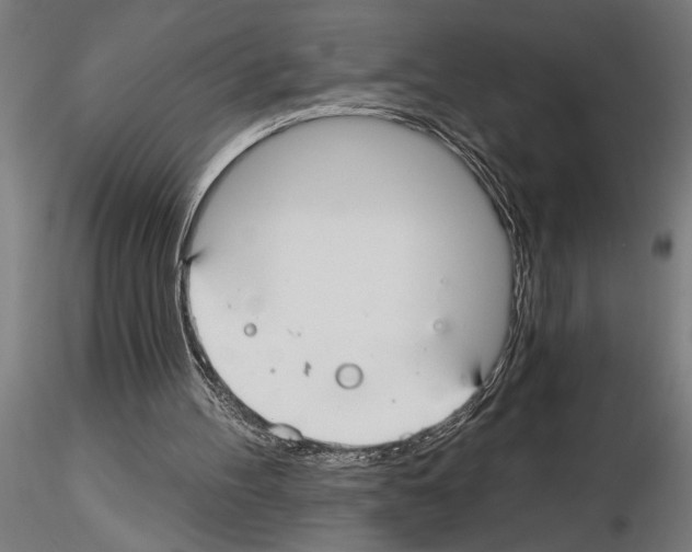 X0000115250100200912111126