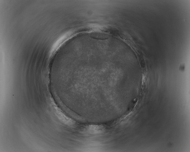 X0000115250101200912111126