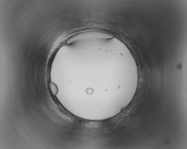 X0000115250102200912111126