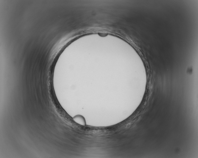 X0000115250103200912111126
