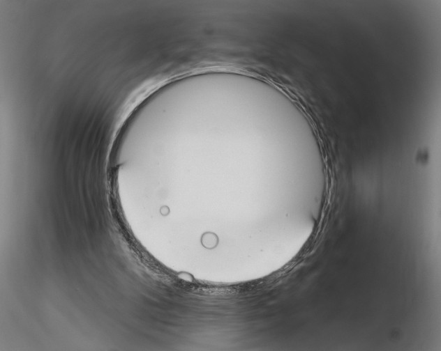 X0000115250104200912111126