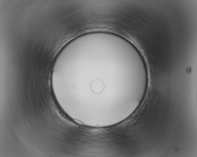 X0000115250105200912111126