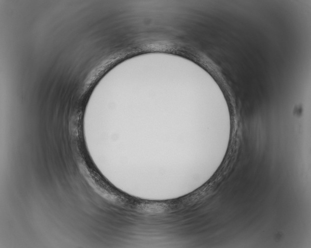X0000115250106200912111126