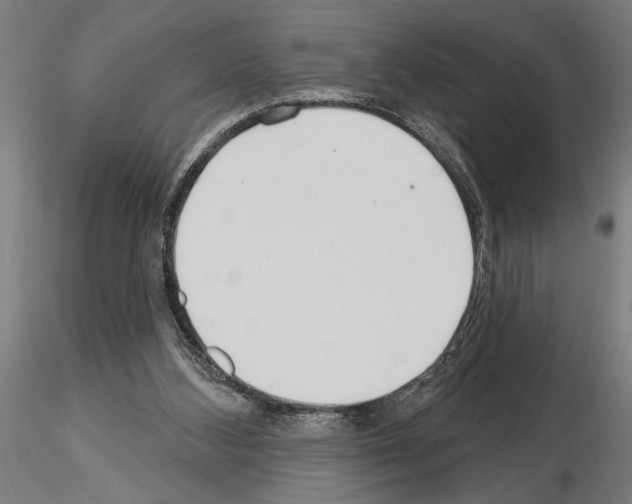 X0000115250108200912111126