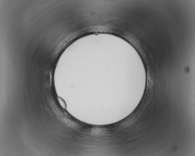 X0000115250109200912111126