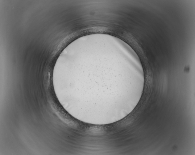 X0000115250110200912111126