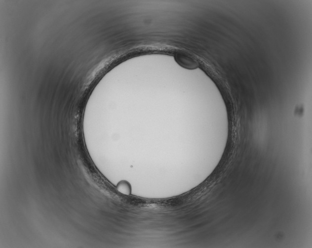 X0000115250111200912111126